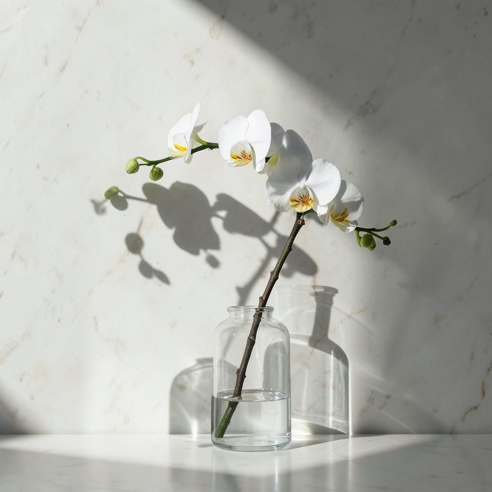 White orchid stem in a glass vase